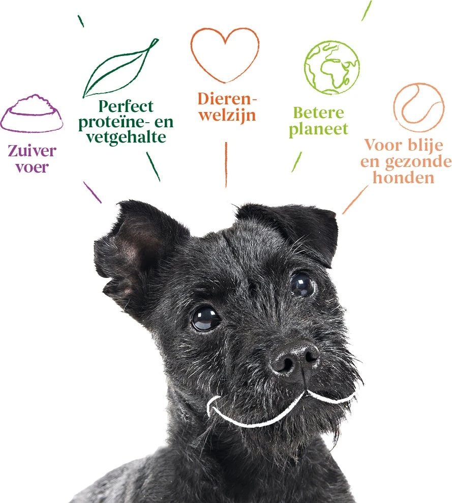 Yarrah Biologisch Hondenvoer Vega Adult 2 Kg 4 Yarrah Biologisch Hondenvoer Vega Adult 2 Kg - Afbeelding 2