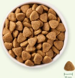 Yarrah Biologisch Hondenvoer Vega Graanvrij Adult 2 Kg -Dierenwinkel Met Korting 8714265000423 7