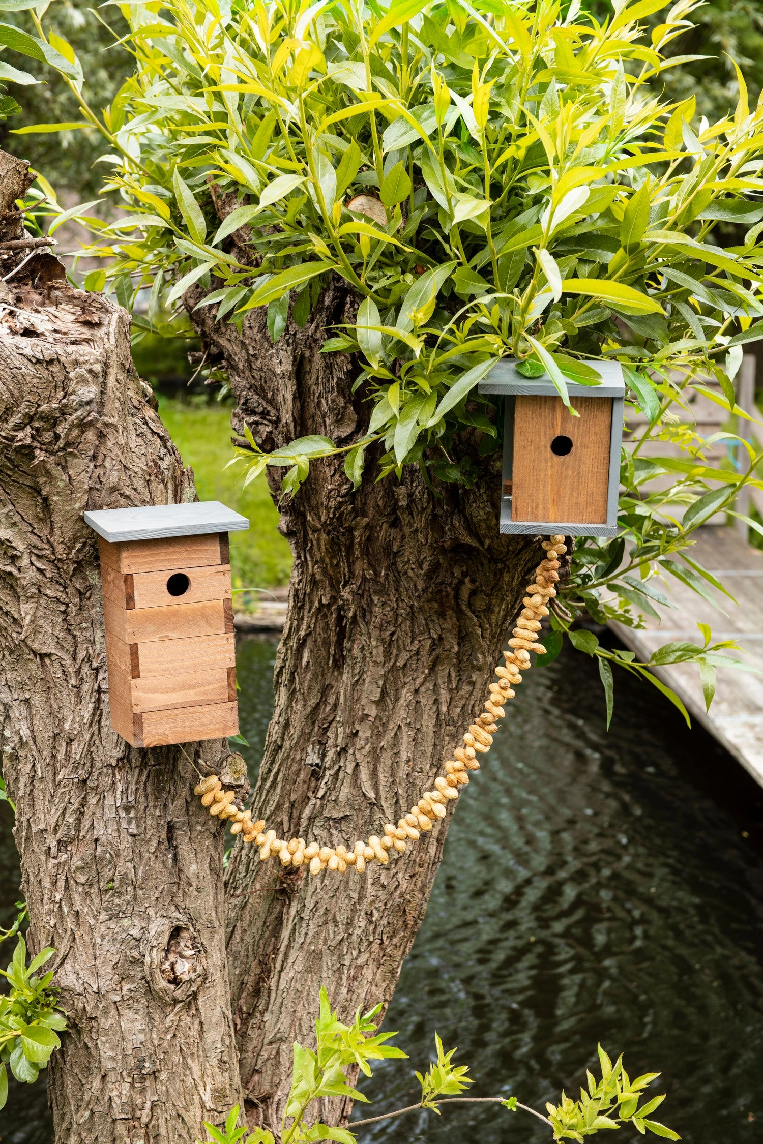 Intratuin Nestkast Pimpelmees 18 X 15,8 X 20,3 Cm 5 Intratuin Nestkast Pimpelmees 18 X 15,8 X 20,3 Cm - Afbeelding 3