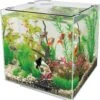 SuperFish Aquarium QubiQ 30 Wit 30 L -Dierenwinkel Met Korting 8715897038976 1