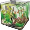 SuperFish Aquarium QubiQ 30 Zwart 30 L -Dierenwinkel Met Korting 8715897039041 1