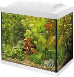 SuperFish Aquarium Start 30 Tropical Kit Wit 25 L