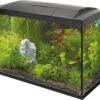 SuperFish Aquarium Start 70 Tropical Kit Zwart 60 L -Dierenwinkel Met Korting 8715897165917 1