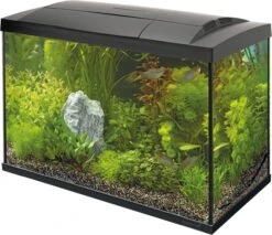 SuperFish Aquarium Start 100 Tropical Kit Zwart 100 L