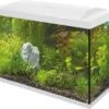 SuperFish Aquarium Start 100 Tropical Kit Wit 100 L -Dierenwinkel Met Korting 8715897166204 1