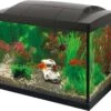 Superfish Aquarium Start 20 Goldfish Kit Zwart 20 L 1 Superfish Aquarium Start 20 Goldfish Kit Zwart 20 L -Dierenwinkel Met Korting 8715897190766 1