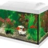 SuperFish Aquarium Start 20 Goldfish Kit Wit 20 L -Dierenwinkel Met Korting 8715897190773 1