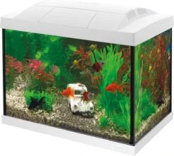 SuperFish Aquarium Start 20 Goldfish Kit Wit 20 L
