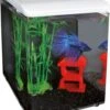 SuperFish Aquarium Home 8 Wit 8 L -Dierenwinkel Met Korting 8715897221781 1