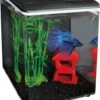 SuperFish Aquarium Home 8 Zwart 8 L -Dierenwinkel Met Korting 8715897221798 1