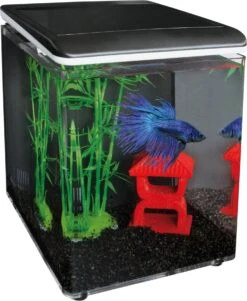 SuperFish Aquarium Home 8 Zwart 8 L