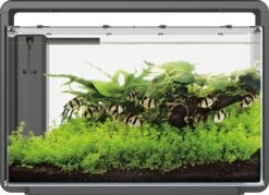 SuperFish Aquarium Home 65 Zwart 60 L