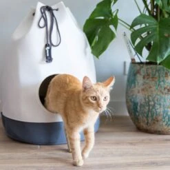 District 70 Kattenmand Casa Grijs D 45 H 60 Cm -Dierenwinkel Met Korting 8717202613267 7