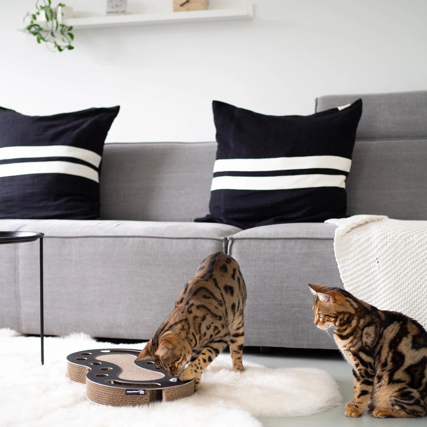 District 70 Krabkarton Snake Wit 54 X 28 X 6 Cm 6 District 70 Krabkarton Snake Wit 54 X 28 X 6 Cm - Afbeelding 4