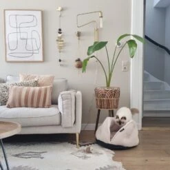 District 70 Kattenmand Tuck Beige D 50 H 30 Cm 11 District 70 Kattenmand Tuck Beige D 50 H 30 Cm -Dierenwinkel Met Korting 8717202615049 4