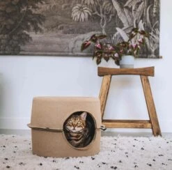 District 70 Kattenmand Bunker D 44 H 30 Cm -Dierenwinkel Met Korting 8717202615247 6