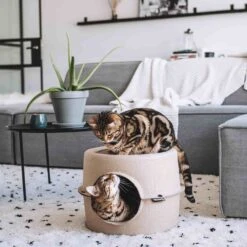 District 70 Kattenmand Bunker D 44 H 30 Cm -Dierenwinkel Met Korting 8717202615247 7