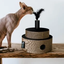 District 70 Krabkarton Fiesta Zwart D 25 H 25 Cm -Dierenwinkel Met Korting 8717202615254 4