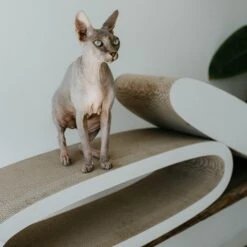 District 70 Krabkarton Office Wit 84 X 24 X 24 Cm -Dierenwinkel Met Korting 8717202615285 10