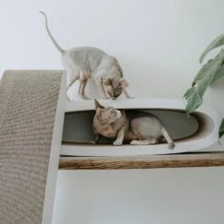 District 70 Krabkarton Office Wit 84 X 24 X 24 Cm -Dierenwinkel Met Korting 8717202615285 8