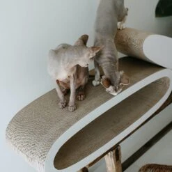 District 70 Krabkarton Office Wit 84 X 24 X 24 Cm -Dierenwinkel Met Korting 8717202615285 9