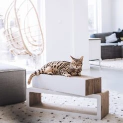 District 70 Krabkarton Stretch Wit 84 X 24 X 24 Cm -Dierenwinkel Met Korting 8717202615292 4