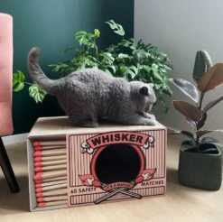 District 70 Krabkarton Whisker Roze 55 X 30 X 30 Cm -Dierenwinkel Met Korting 8717202616527 4