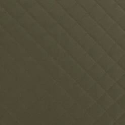 Overseas Petlife Orthopedisch Hondenkussen Daan Groen 110 X 75 X 7 Cm -Dierenwinkel Met Korting 8717237180093 3