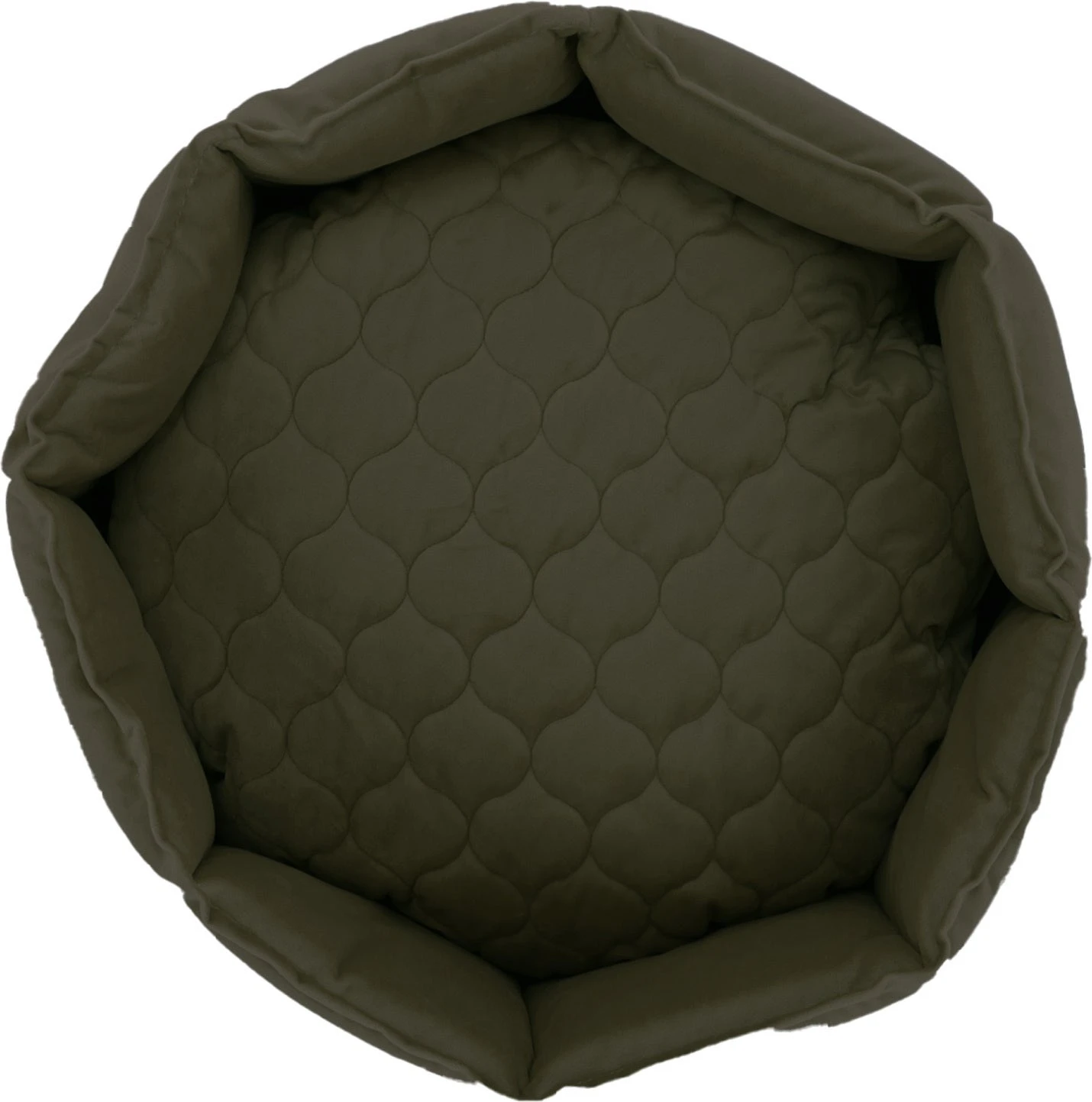 Overseas Petlife Kattenmand Kate Groen D 45 H 20 Cm 4 Overseas Petlife Kattenmand Kate Groen D 45 H 20 Cm - Afbeelding 2