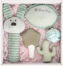 Intratuin Puppy Speelgoedpakket 5 Stuks Blauw -Dierenwinkel Met Korting 8717263775218 4