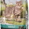 Intratuin Premium Kattenvoer Adult 2 Kg -Dierenwinkel Met Korting 8717263809821 1