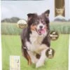 Intratuin Premium Hondenvoeding Adult 3 Kg -Dierenwinkel Met Korting 8717263898887 0