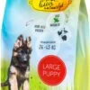 Lekker Natuurlijk Large Puppy 2,5 Kg 1 Lekker Natuurlijk Large Puppy 2,5 Kg -Dierenwinkel Met Korting 8718026137151 1