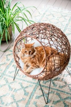 Intratuin Kattenmand Ligbol D 45 H 60 Cm -Dierenwinkel Met Korting 8720196121304 1 1