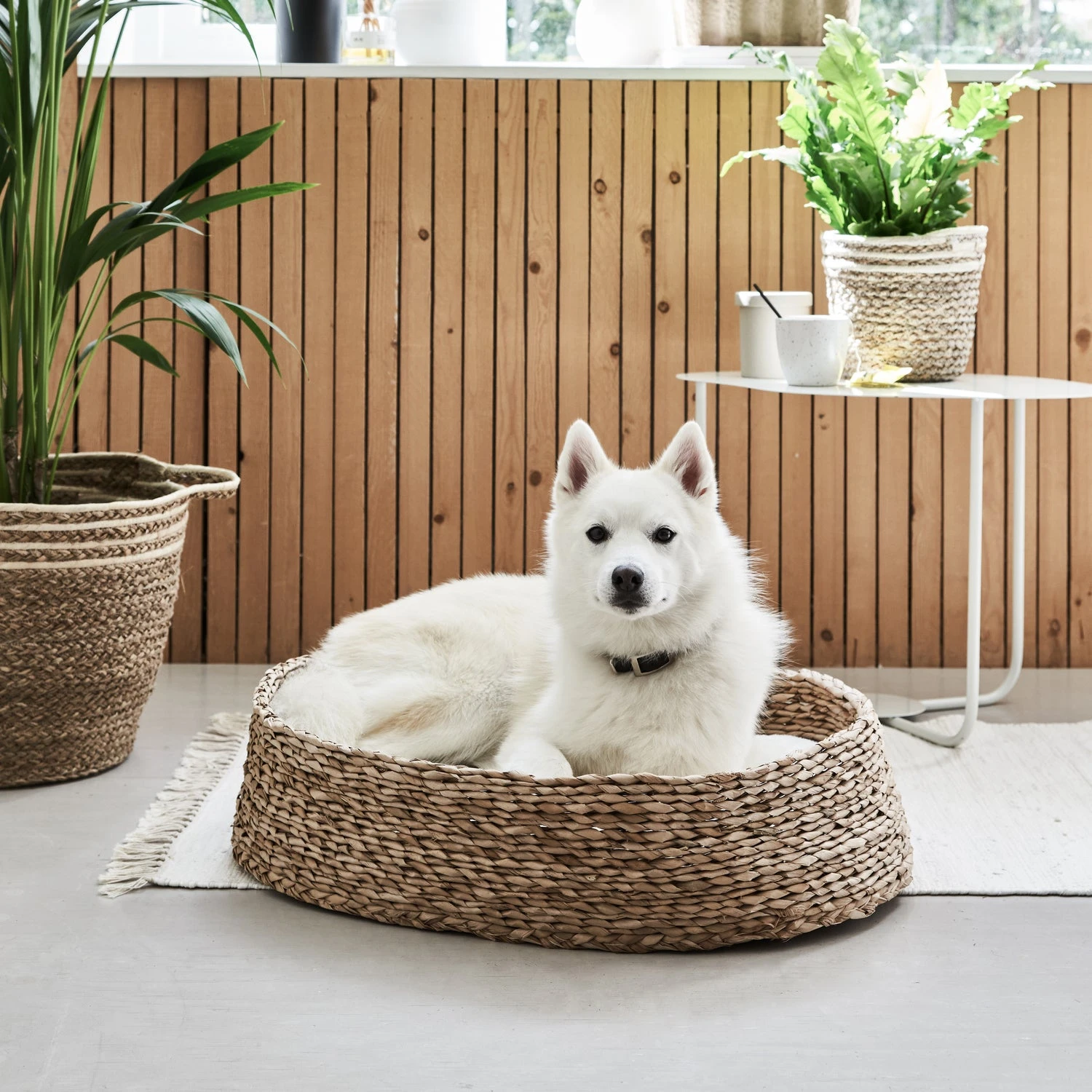 Intratuin Honden- En Kattenmand Eka 65 X 48 X 65 Cm 4 Intratuin Honden- En Kattenmand Eka 65 X 48 X 65 Cm - Afbeelding 2