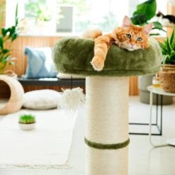 Intratuin Krabpaal XL Groen 48,5 X 48,5 X 77 Cm 7 Intratuin Krabpaal XL Groen 48,5 X 48,5 X 77 Cm -Dierenwinkel Met Korting 8720196330218 3