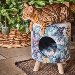Intratuin Poef Met Kattenmand Bloemenprint D 35 H 42 Cm 5 Intratuin Poef Met Kattenmand Bloemenprint D 35 H 42 Cm -Dierenwinkel Met Korting 8720196330232 1