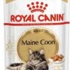 Royal Canin Kattenvoer Paté Maine Coon Adult 85 G 12 Stuks 2 Royal Canin Kattenvoer Paté Maine Coon Adult 85 G 12 Stuks -Dierenwinkel Met Korting 9003579001202