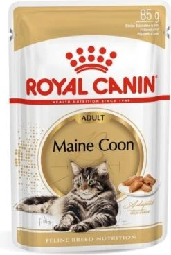 Royal Canin Kattenvoer Paté Maine Coon Adult 85 G 12 Stuks