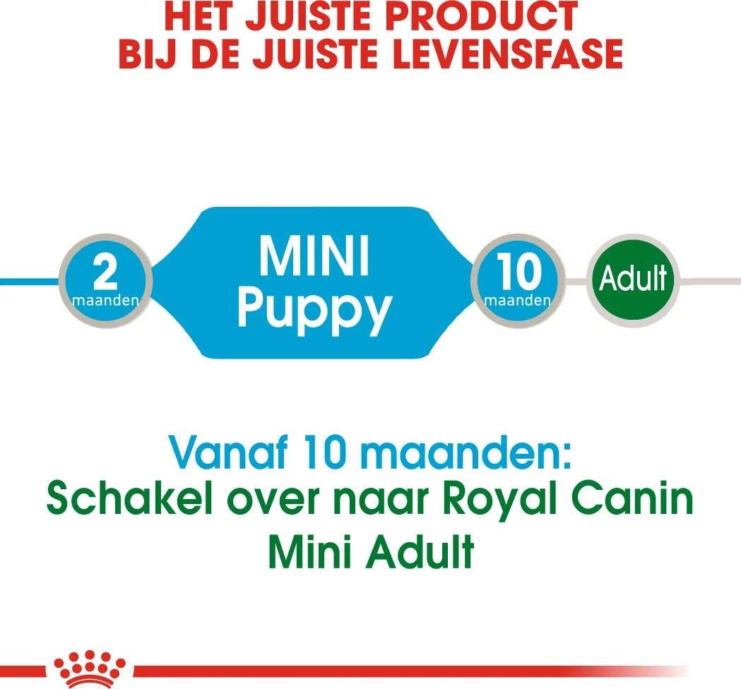 Royal Canin Hondenvoer Mini Puppy 85 G 12 Stuks 5 Royal Canin Hondenvoer Mini Puppy 85 G 12 Stuks - Afbeelding 3