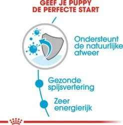 Royal Canin Hondenvoer Mini Puppy 85 G 12 Stuks 11 Royal Canin Hondenvoer Mini Puppy 85 G 12 Stuks -Dierenwinkel Met Korting 9003579008201 4