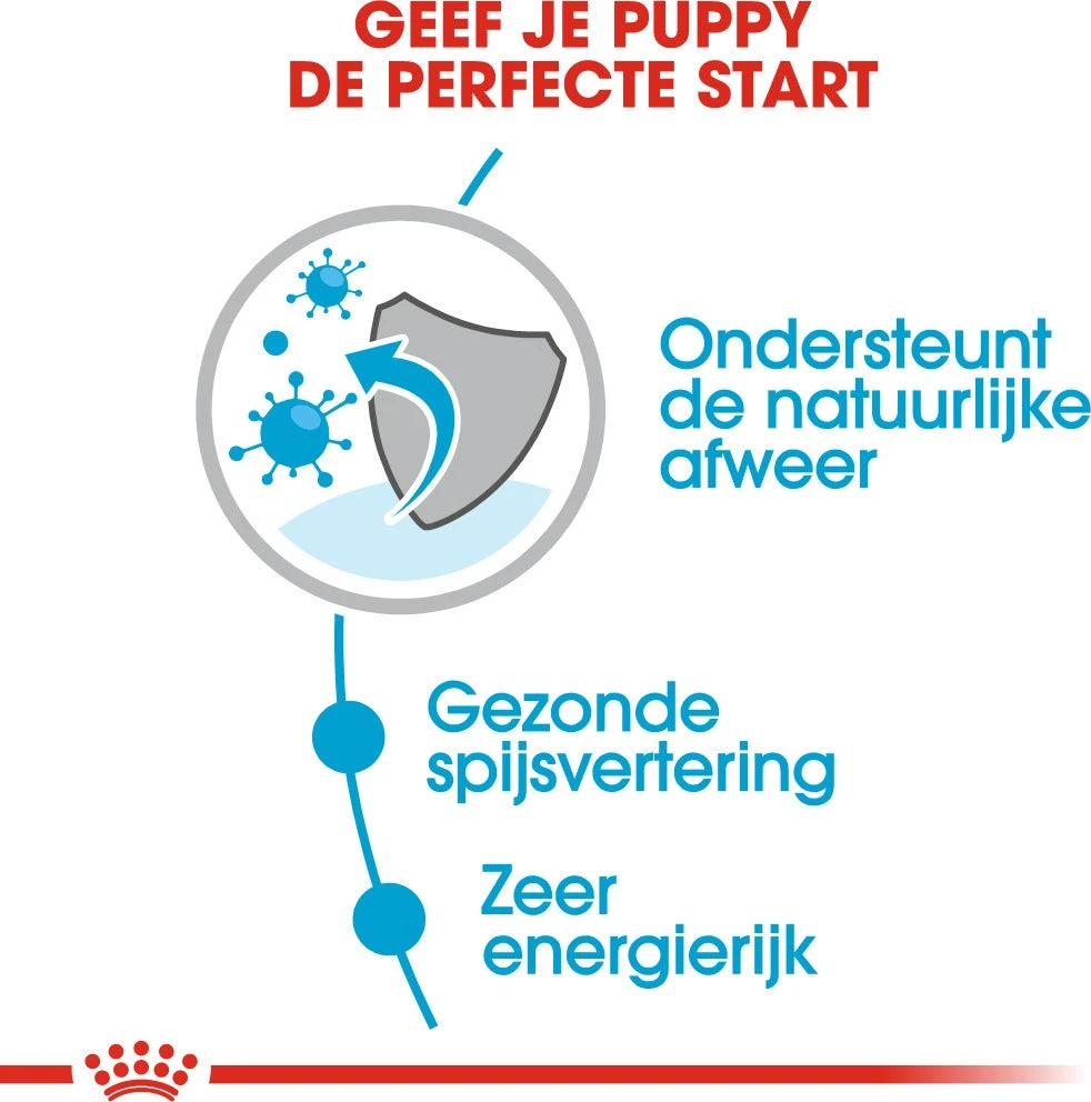 Royal Canin Hondenvoer Mini Puppy 85 G 12 Stuks 6 Royal Canin Hondenvoer Mini Puppy 85 G 12 Stuks - Afbeelding 4