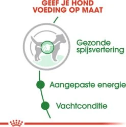 Royal Canin Hondenvoer Mini Adult 85 G 12 Stuks -Dierenwinkel Met Korting 9003579008249 4