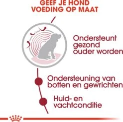 Royal Canin Hondenvoer In Saus Medium Ageing 10+ 140 G 10 Stuks -Dierenwinkel Met Korting 9003579008409 4