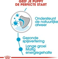 Royal Canin Hondenvoer Maxi Puppy 140 G 10 Stuks -Dierenwinkel Met Korting 9003579008447 4