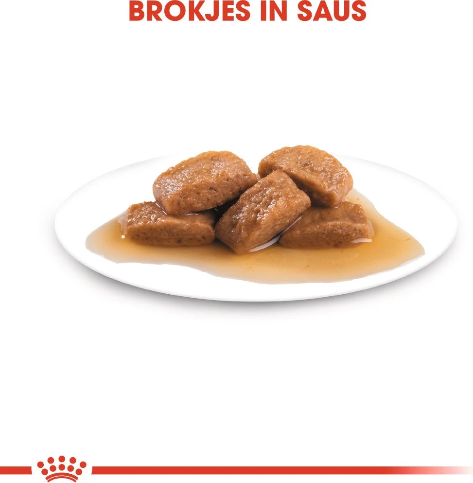 Royal Canin Hondenvoer In Saus Maxi Ageing 8+ 140 G 10 Stuks 4 Royal Canin Hondenvoer In Saus Maxi Ageing 8+ 140 G 10 Stuks - Afbeelding 2