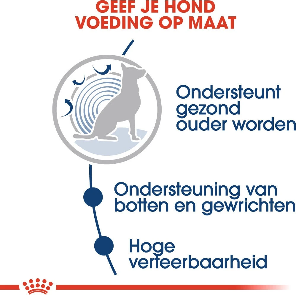 Royal Canin Hondenvoer In Saus Maxi Ageing 8+ 140 G 10 Stuks 6 Royal Canin Hondenvoer In Saus Maxi Ageing 8+ 140 G 10 Stuks - Afbeelding 4