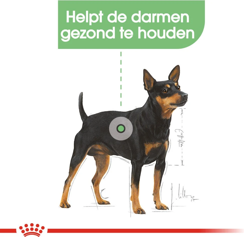 Royal Canin Hondenvoer Paté Digestive Care 85 G 12 Stuks 4 Royal Canin Hondenvoer Paté Digestive Care 85 G 12 Stuks - Afbeelding 2