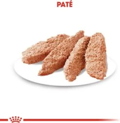 Royal Canin Hondenvoer Paté Digestive Care 85 G 12 Stuks 10 Royal Canin Hondenvoer Paté Digestive Care 85 G 12 Stuks -Dierenwinkel Met Korting 9003579008775 3