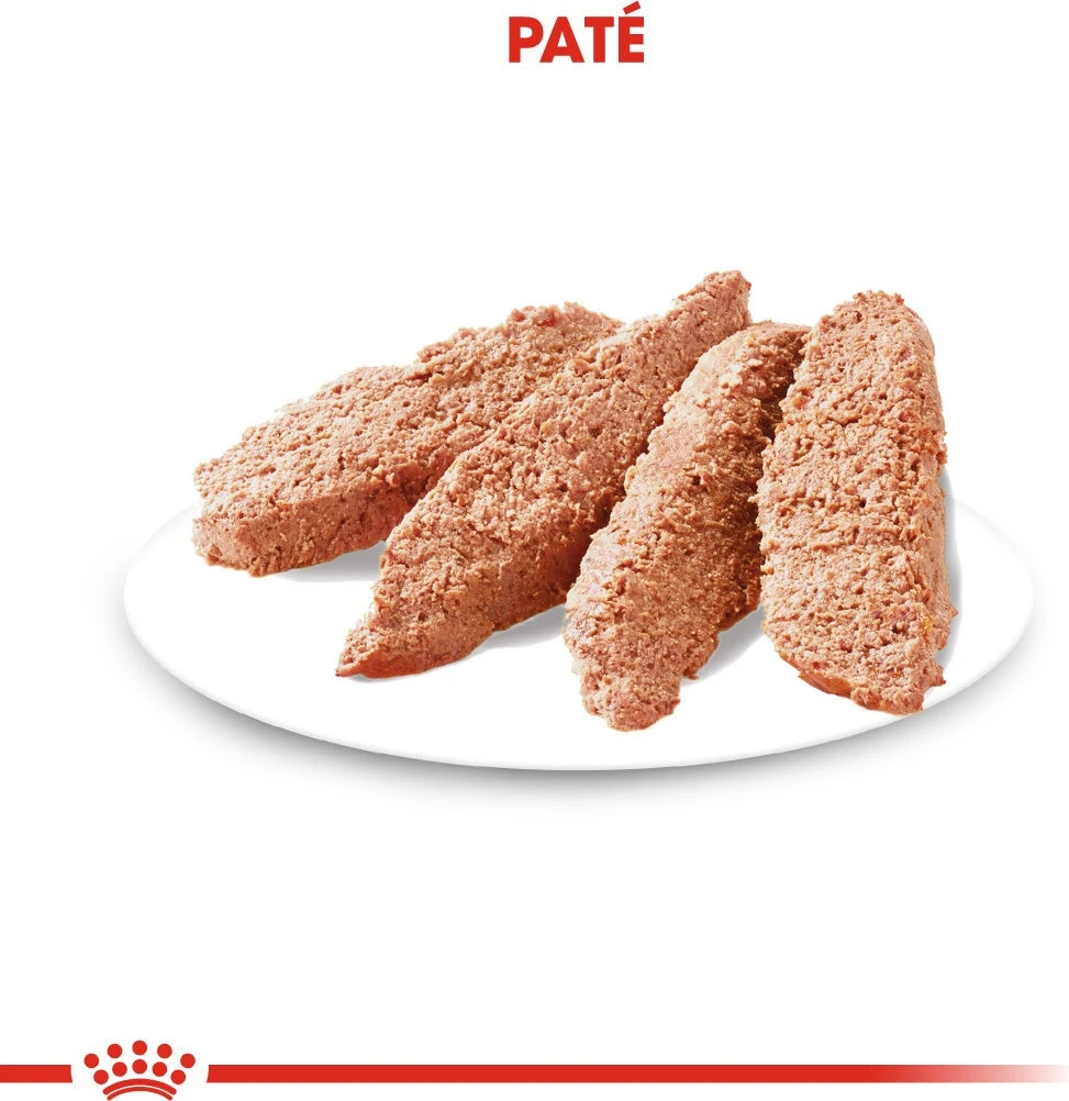 Royal Canin Hondenvoer Paté Digestive Care 85 G 12 Stuks 5 Royal Canin Hondenvoer Paté Digestive Care 85 G 12 Stuks - Afbeelding 3